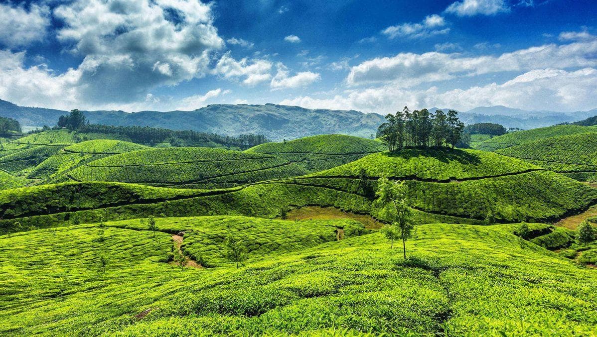 Kerala